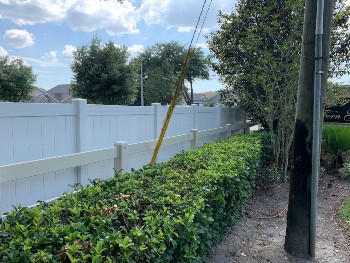Fern-grove fence cleaned using pressure washing device