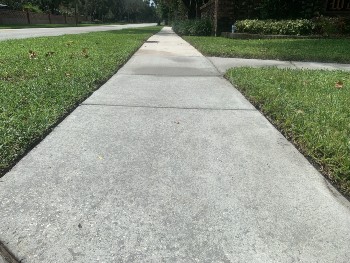 Newly pressure washed sidewalk is brighter than before