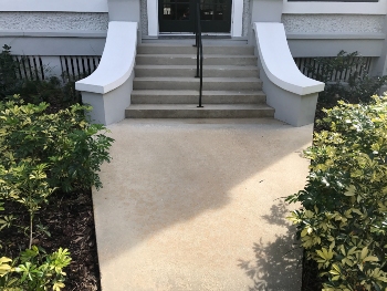 Newly pressure washed outdoor stair and pavement with vegetation on each side