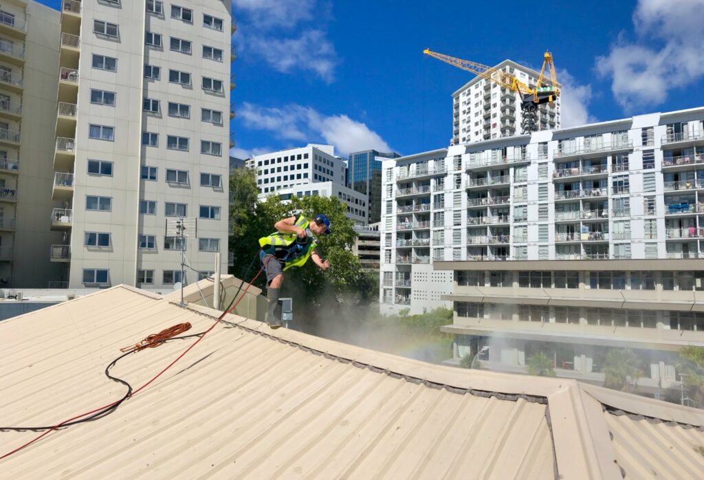 Professional Roof Washing