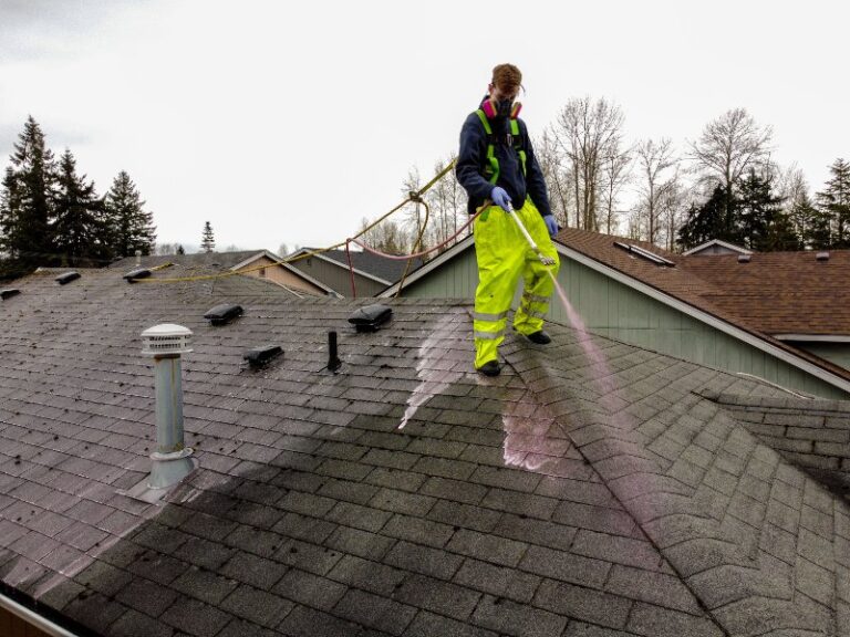 A Guide To Soft Wash Roof Cleaning Services | Brook