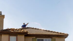 Professional Roof Washing